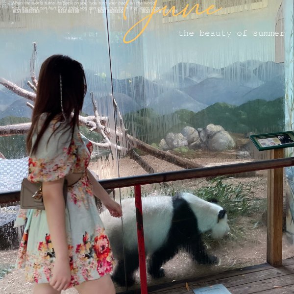 晒货图片