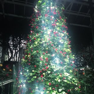 长木公园圣诞灯展...