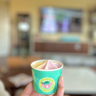 Costco的快乐 澳大利亚酸奶冰激凌...
