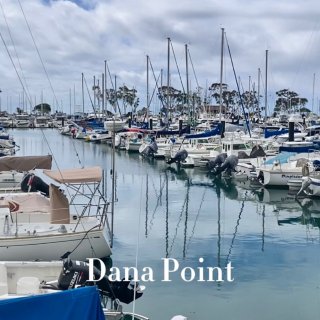 南加州｜Dana Point鲸鱼节🐳市集...