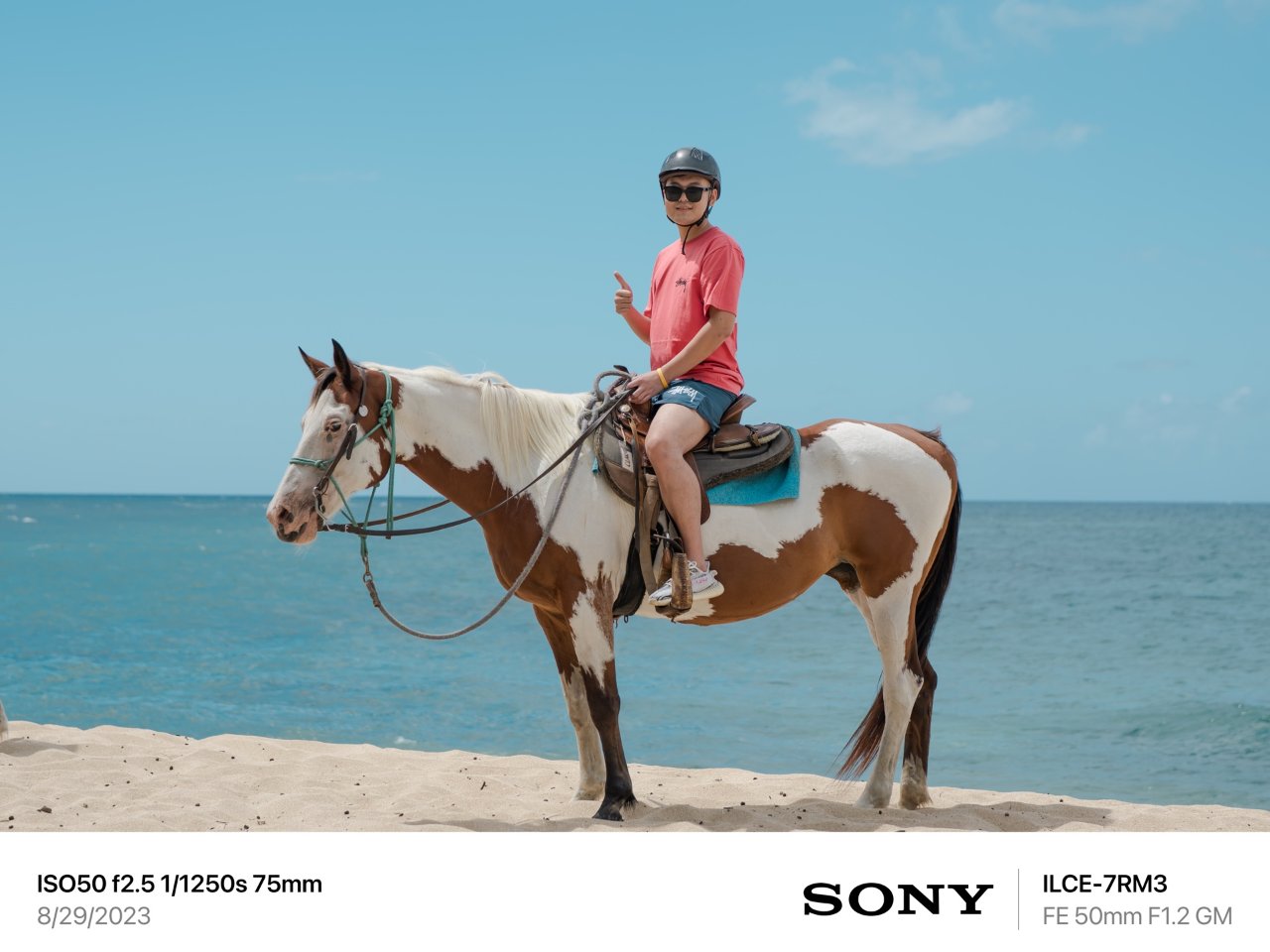 夏威夷旅拍 海边牧场 🐎 沙滩骑马...