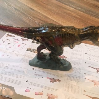 童书+恐龙🦖模型推荐...
