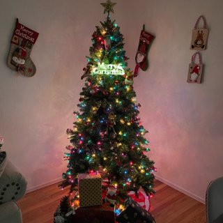 我家的圣诞｜圣诞树🎄推荐...