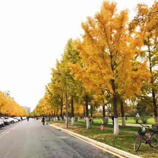 【北京的秋，让人最怀念的季节】...