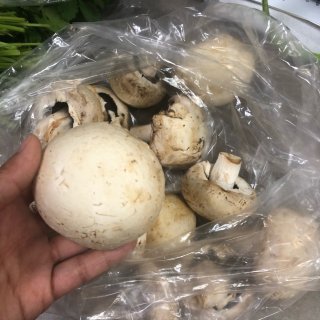 開心事 — 平靓正的大蘑菇做美食！...