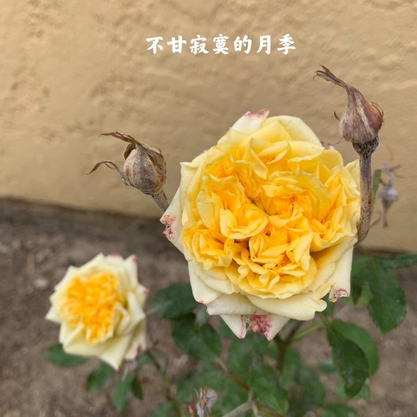 晒货图片