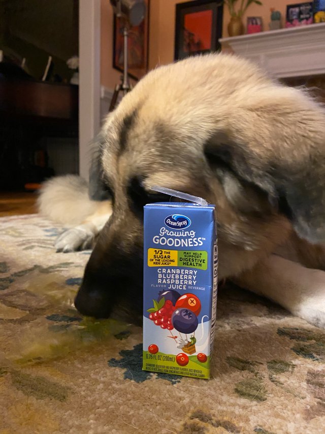 kate的宵夜是<br />
我的...