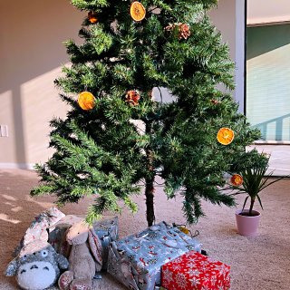 2020  我的第一颗圣诞树🎄...
