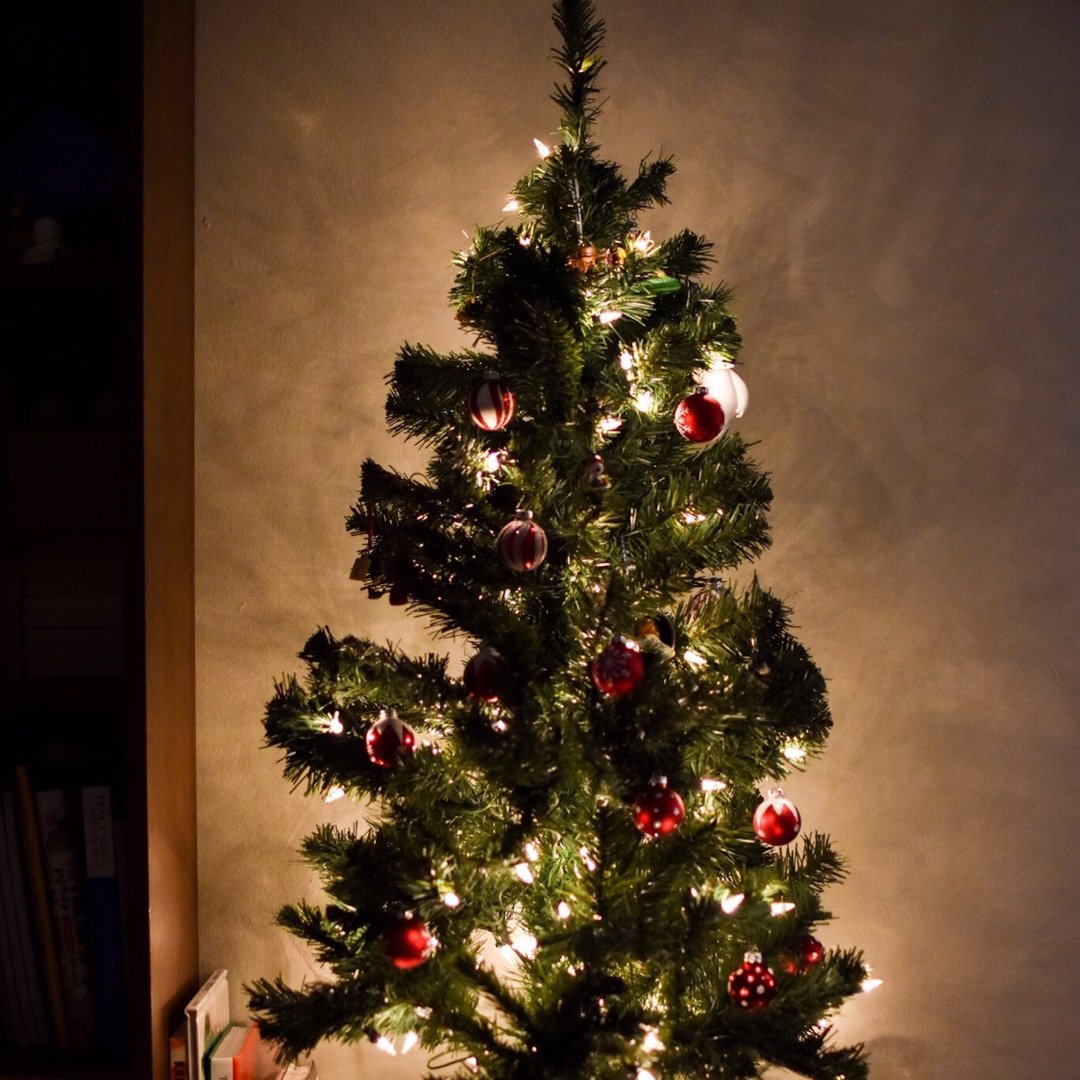 第一棵圣诞树！...