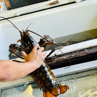 新英格兰龙虾市场🦞餐馆吃海鲜...