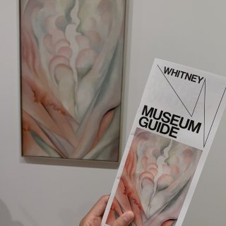 纽约.Whitney Museum看展日...