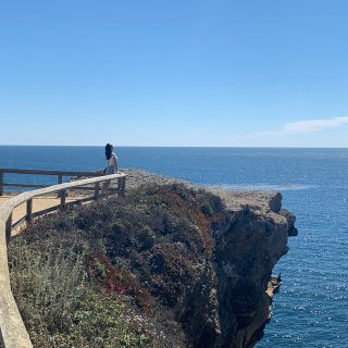 【湾区】绝美海景Point Lobos ...