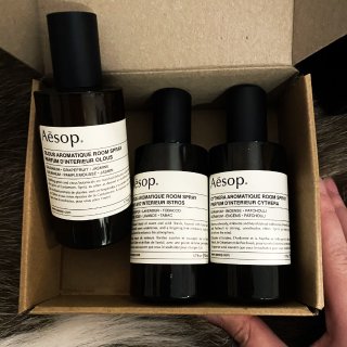 Aesop我的爱