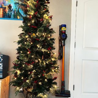 来自Home Depot 的圣诞树...