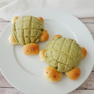 要你永远是我的乌龟🐢菠萝🍍面包🍞...