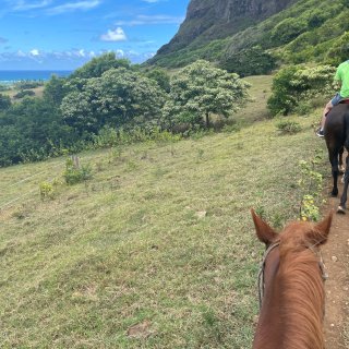 夏威夷｜海边骑马还是古兰尼牧场❓...