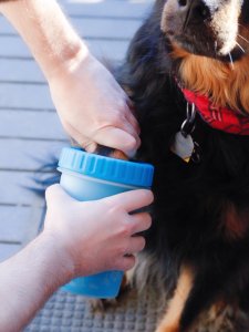 狗爪清洁器使用体验：基本能做到事半功倍