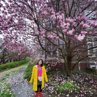 你好春天💮🌺🌱🌸...
