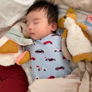Moulin Roty