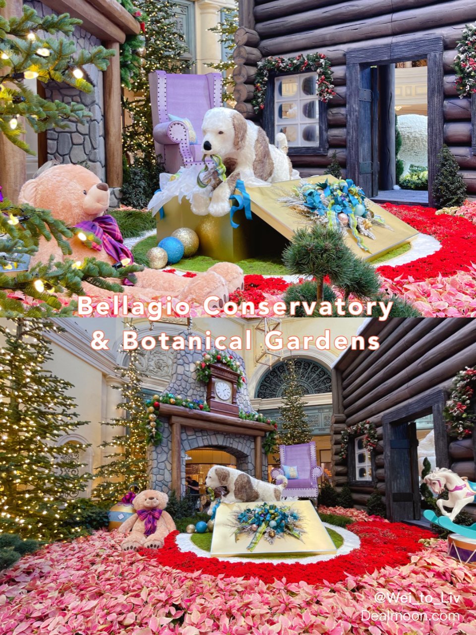 拉斯维加斯百乐宫冬季圣诞🎄装扮...