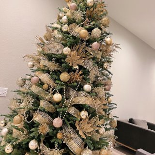 圣诞树🎄｜金色系...