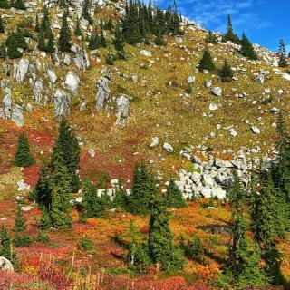 西雅图秋景Trail | Granite...