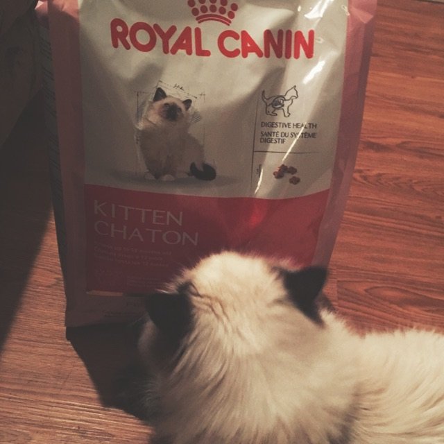 Royal Canin 皇家