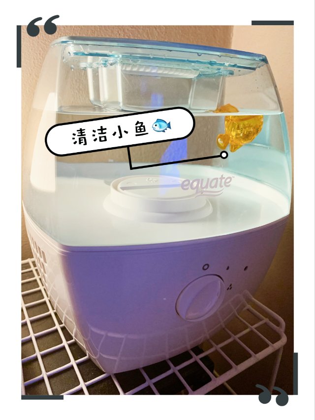 加湿器伴侣