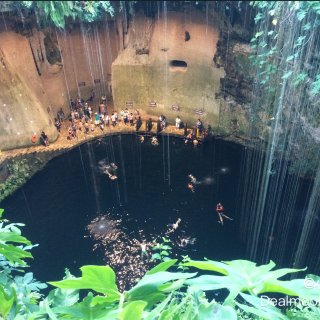墨西哥天坑Cenote...