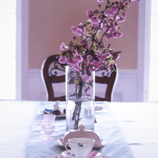 🌸春天餐桌布置/终于等到后院的樱花开了🌸...