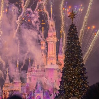 迪士尼城堡的圣诞节🎄...