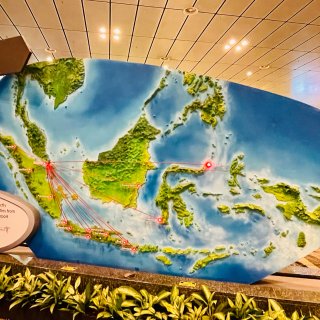 新加坡✈️樟宜国际机场航站楼🛍️购物中心...