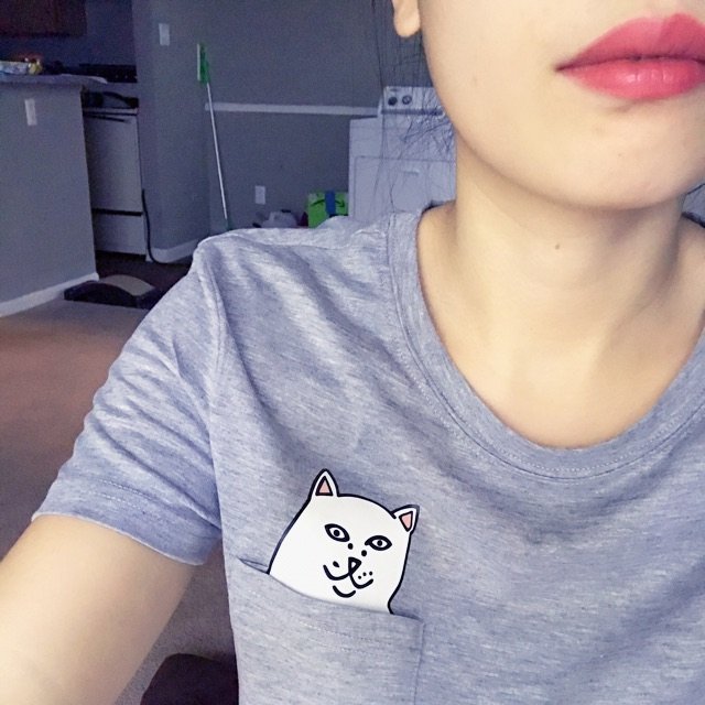 Ripndip