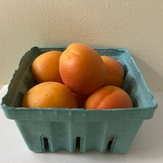 新鲜杏子