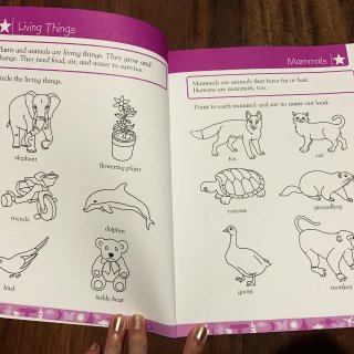 幼儿园练习册