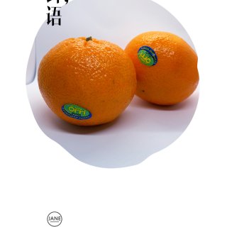 【生日君-2】不可错过的Orri 橘子🍊...