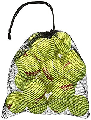 Tourna 18个网球，包括网袋