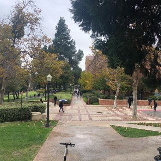 UCLA,Westwood