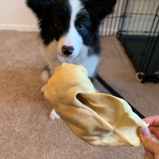 Ultimate Dog Chews
