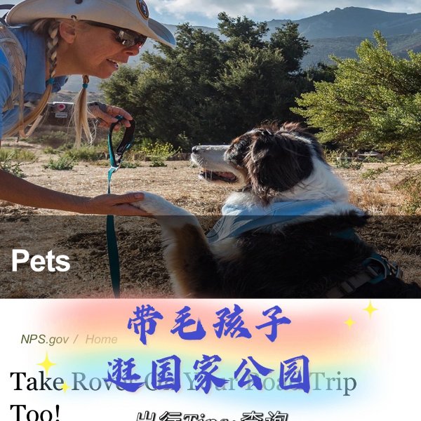 晒货图片