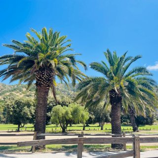 Catalina——洛杉矶的后花园(内含...