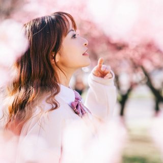 樱花写真｜🌸四月是与你一起赏花的季节🌸...