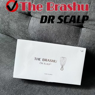 让你爱上梳头的梳子：The BRASHU DR SCALP