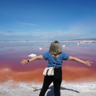 很難相信灣區有個這麼美的粉色鹽湖💕...