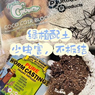 室内绿植配土❤️椰糠+浮石+蚯蚓便便粉👍...