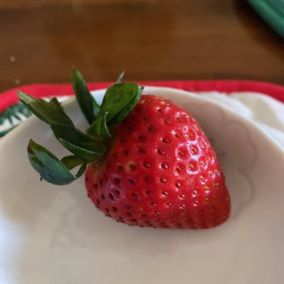 北美龙🐲年第一季草莓🍓Vons第一次采摘...