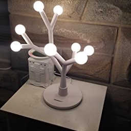 Tenergy Lumi Bloom 8W 750LM LED 装饰台灯