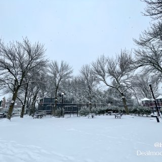 下雪狂歡｜今年特低溫的第二場雪❄️...