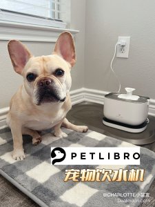 Petlibro｜宠物饮水机界的天花板！