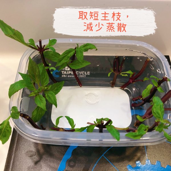 晒货图片
